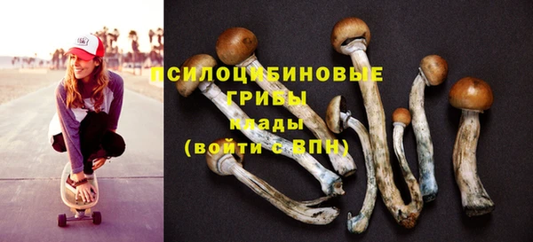 гидра Анива