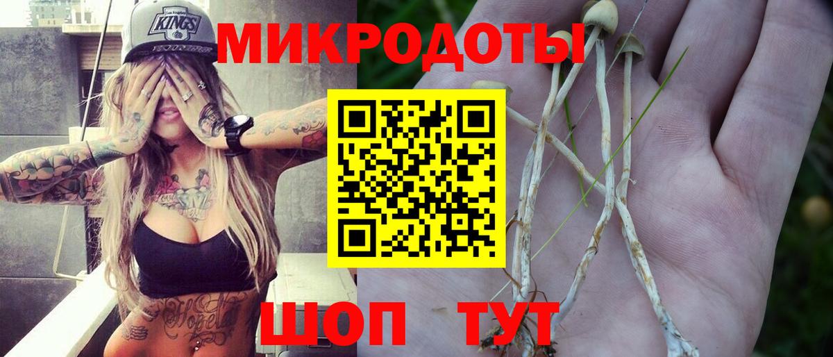 Галлюциногенные грибы MAGIC MUSHROOMS  Вход с VPN  Ставрополь  Псилоцибиновые грибы мицелий 