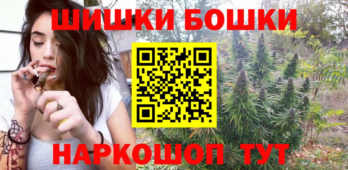 Канабис сатива Ставрополь